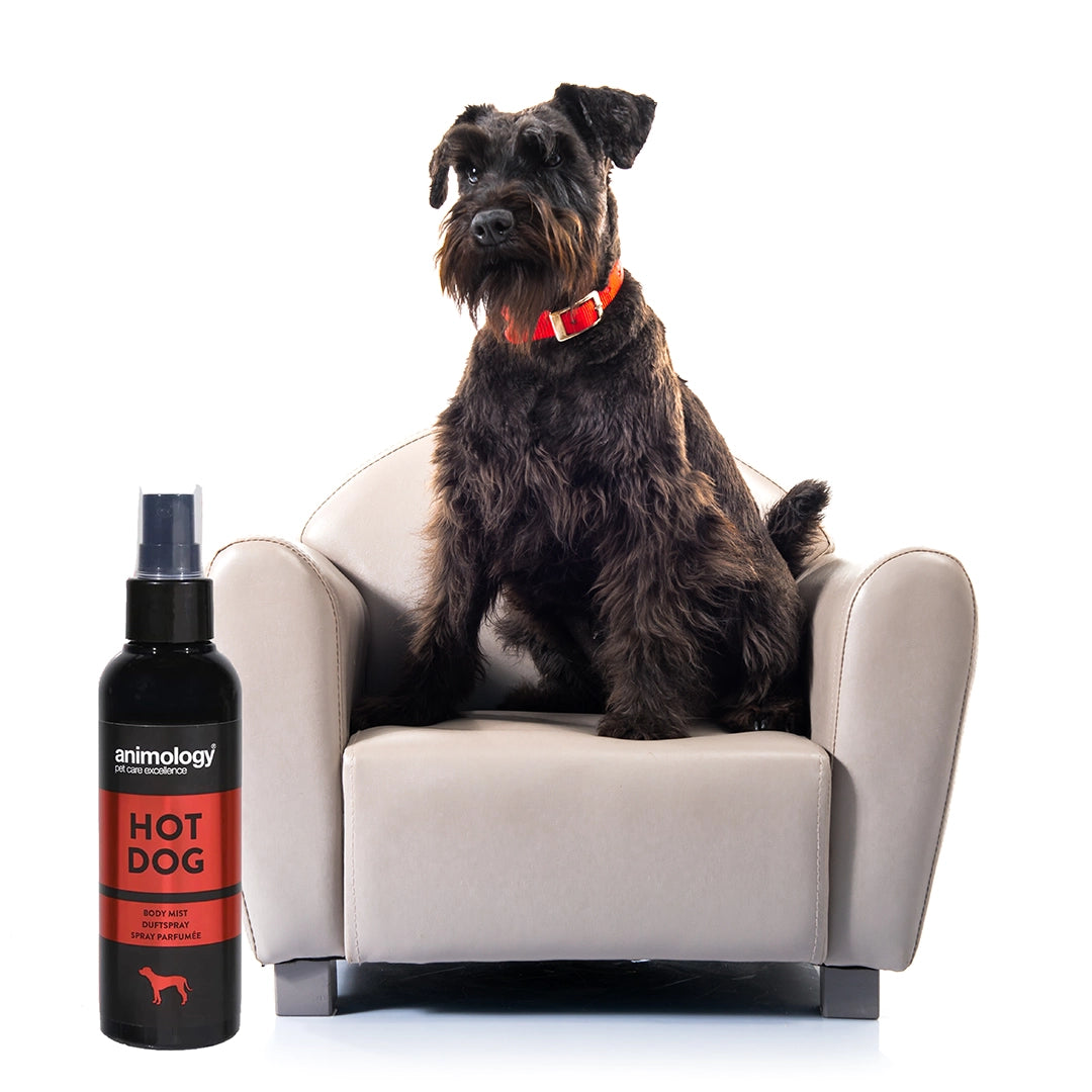 ANIMOLOGY HOT DOG FRAGRANCE MIST FOR DOGS 150ml