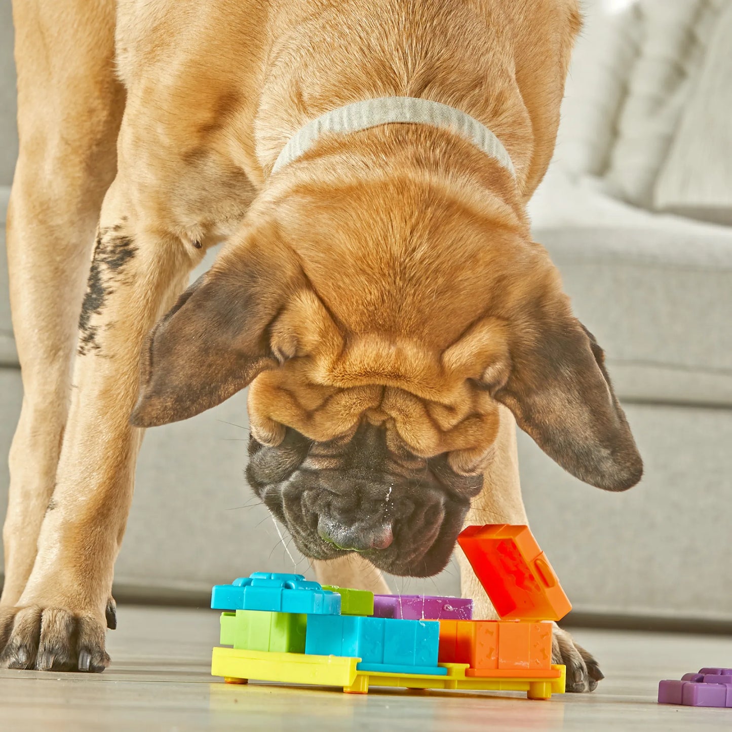 BRIGHTKINS SURPRISE PARTY! TREAT PUZZLE