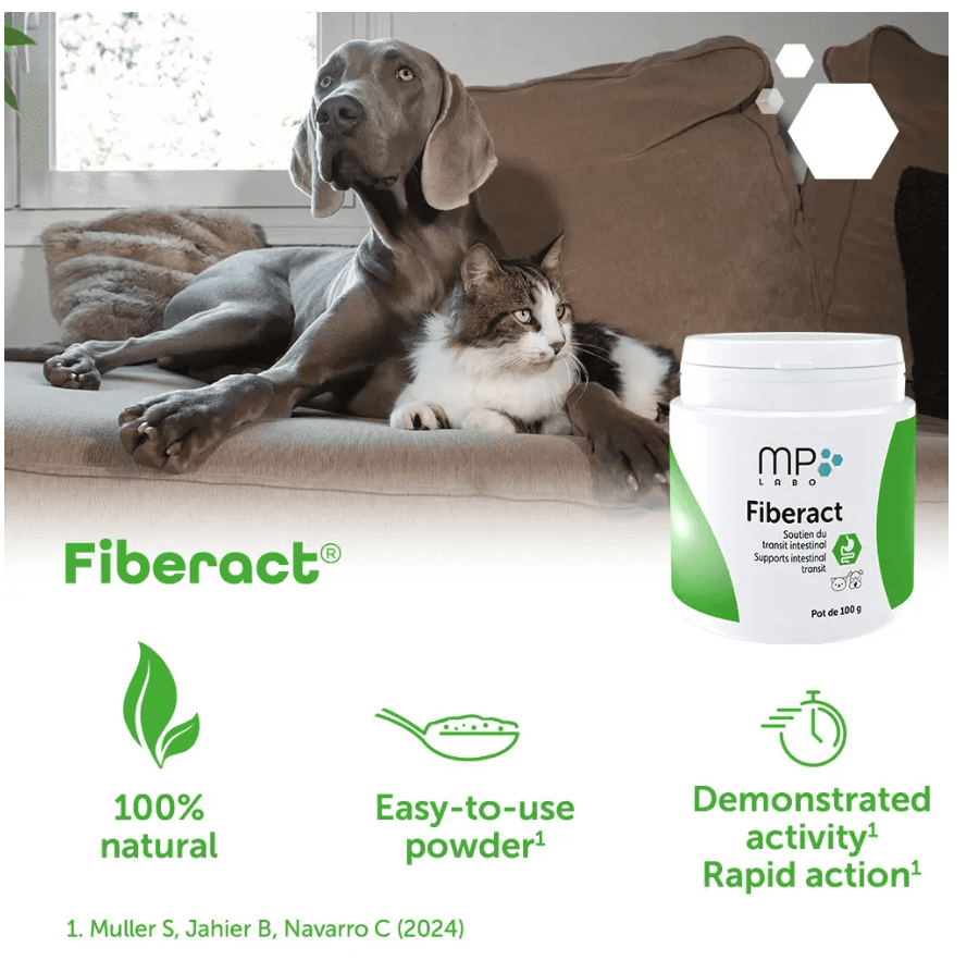 Fiberact Supports intestinal transit