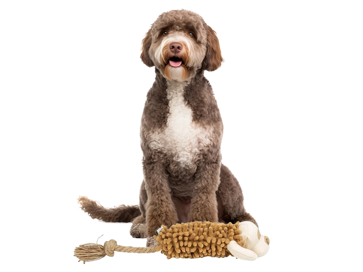 PETFACE BUDDIES SHAGGY MONKEY PLUSH DOG TOY