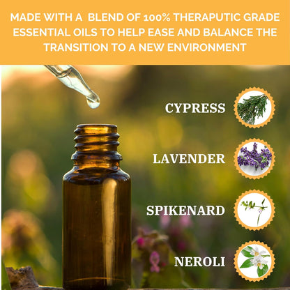 AROMADOG RESCUE STUFFINGLESS SECURITY BLANKET WITH THERAPEUTIC ESSENTIAL OILS