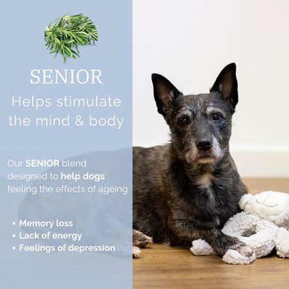 AROMADOG SENIOR FLEECE RING BODY SCENTED CALMING PLUSH WITH THERAPEUTIC ESSENTIAL OILS