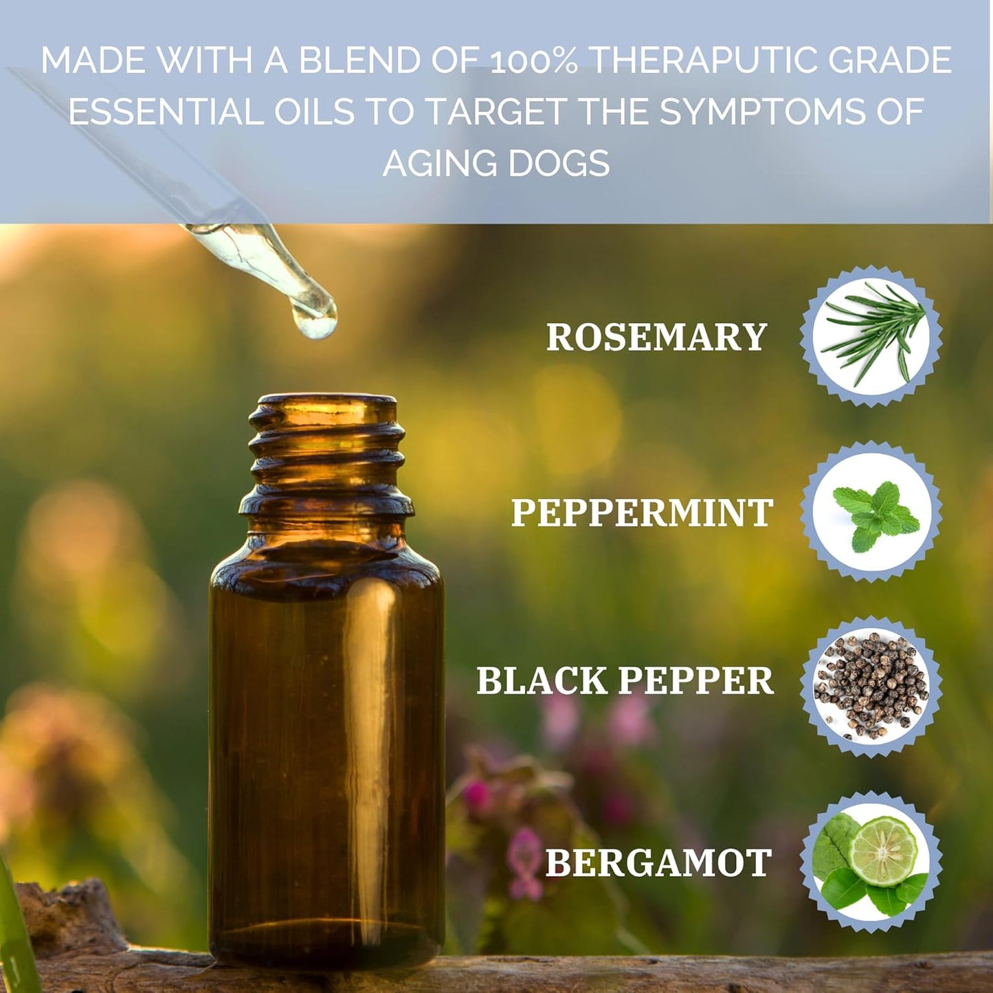 AROMADOG SENIOR FLEECE RING BODY SCENTED CALMING PLUSH WITH THERAPEUTIC ESSENTIAL OILS