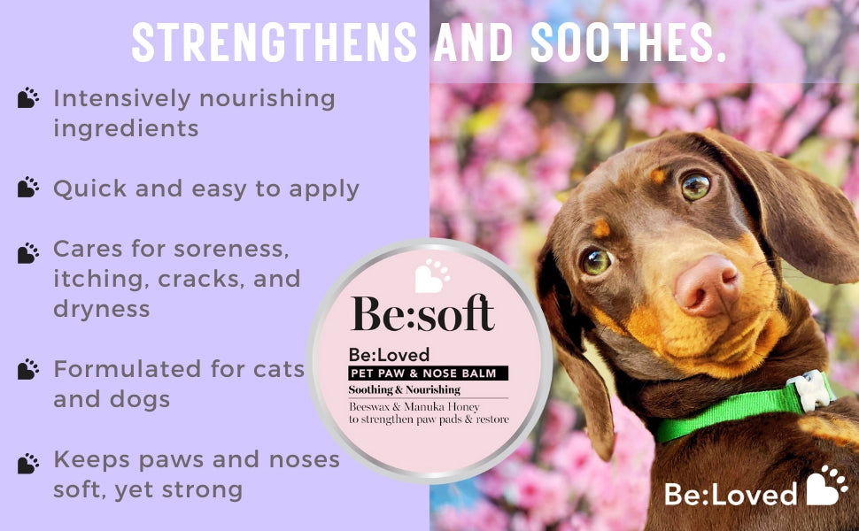 BE:SOFT NATURAL DOG NOSE BALM & DOG PAW BALM