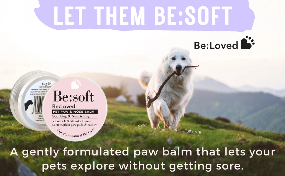 BE:SOFT NATURAL DOG NOSE BALM & DOG PAW BALM