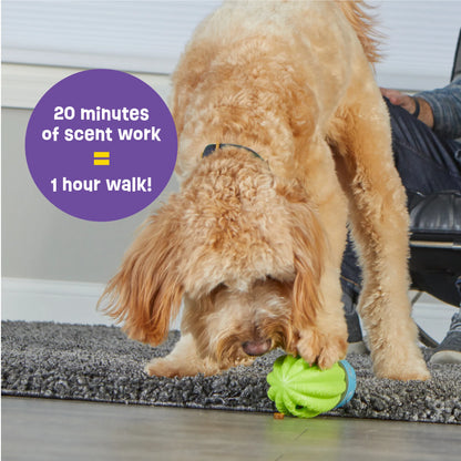 BRIGHTKINS CACTUS SURPRISE! TREAT DISPENSER