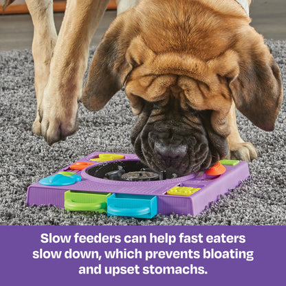 BRIGHTKINS DJ DOGGO TREAT PUZZLE