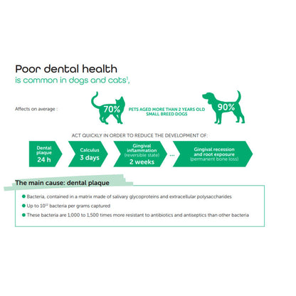BUCCACLEAN® GEL 30ml
