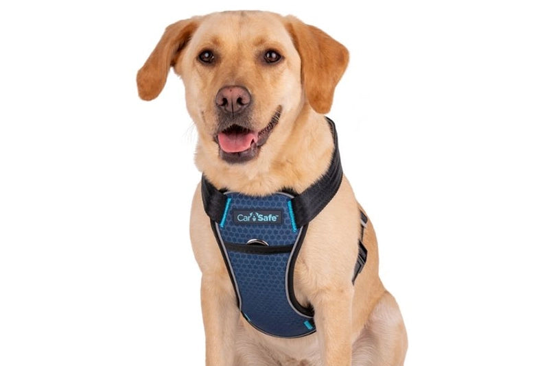 CRASH TESTED HARNESS