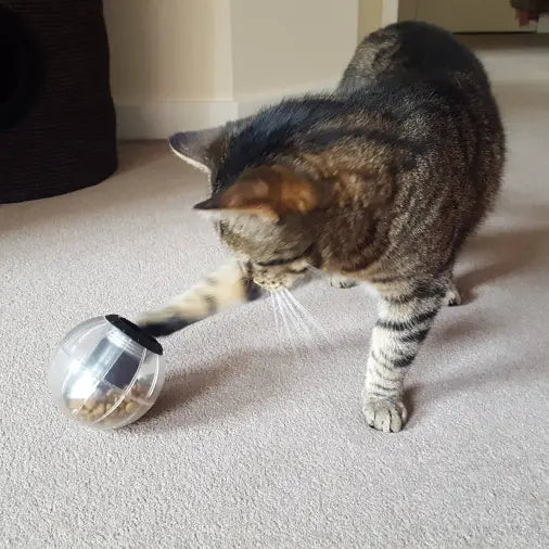 BUSTER CATRINE CATMOSPHERE TREAT CAT TOY