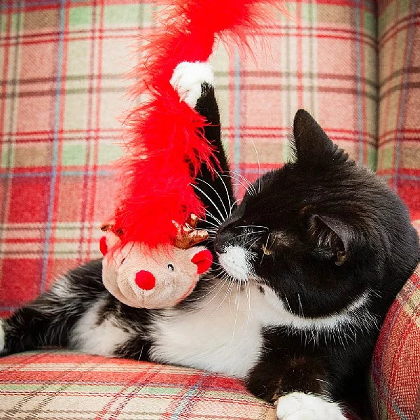 CUPID AND COMET ROXY REINDEER CAT TEASER WAND