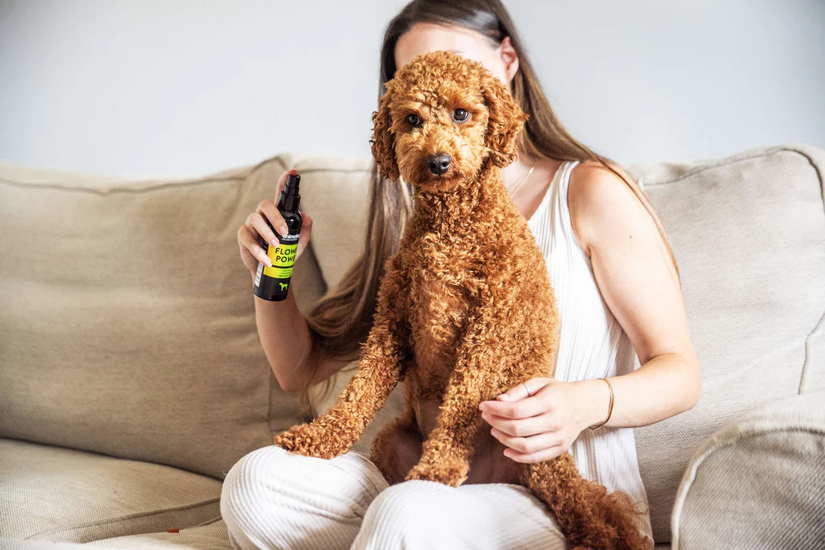 ANIMOLOGY FLOWER POWER DOG FRAGRANCE MIST FOR DOGS 150ml