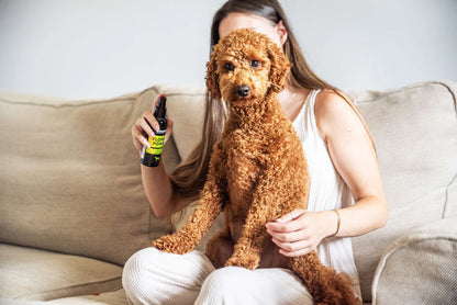 ANIMOLOGY FLOWER POWER DOG FRAGRANCE MIST FOR DOGS 150ml