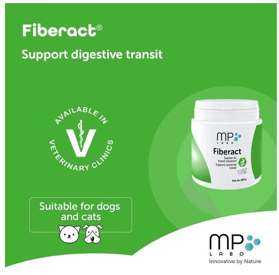 Fiberact Supports intestinal transit