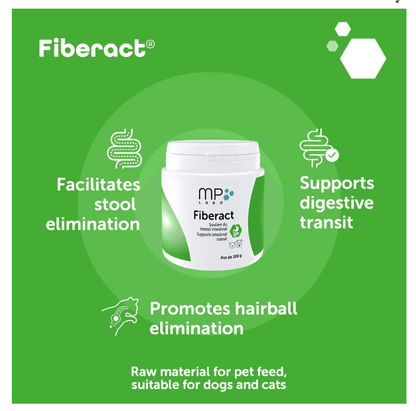 Fiberact Supports intestinal transit