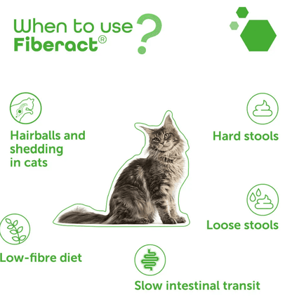 Fiberact Supports intestinal transit