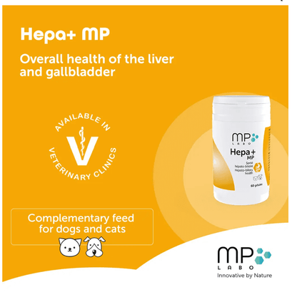 Hepa+ MP Supports hepato-biliary health
