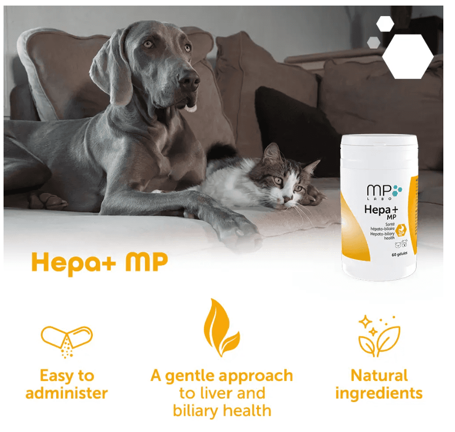 Hepa+ MP Supports hepato-biliary health