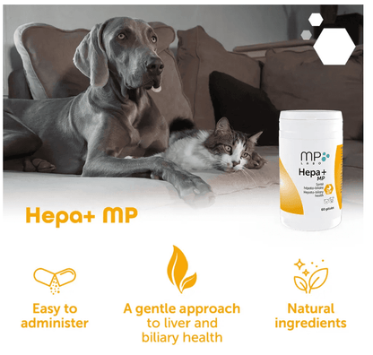 Hepa+ MP Supports hepato-biliary health