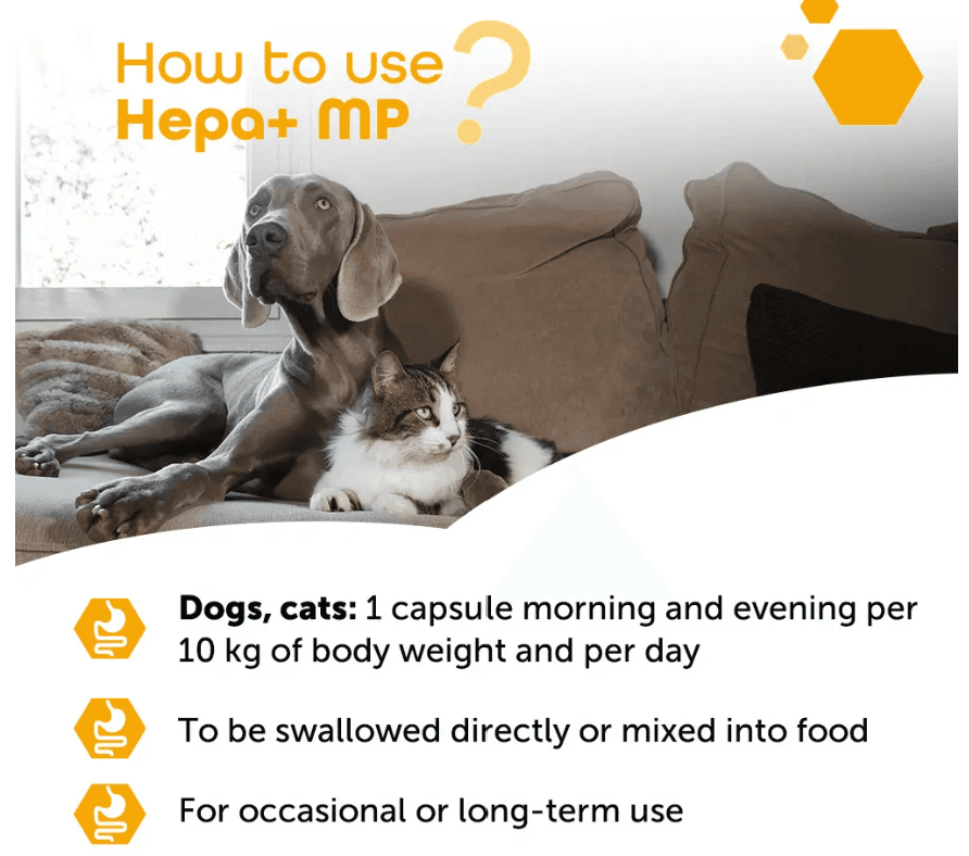 Hepa+ MP Supports hepato-biliary health