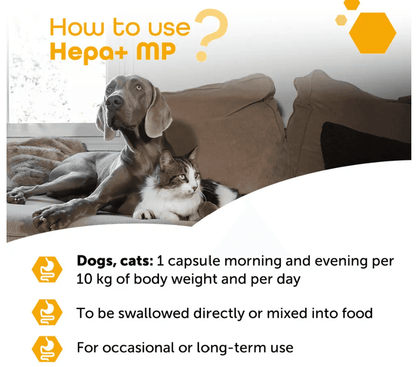 Hepa+ MP Supports hepato-biliary health