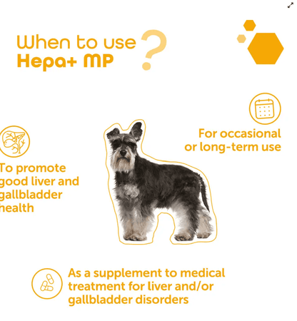 Hepa+ MP Supports hepato-biliary health