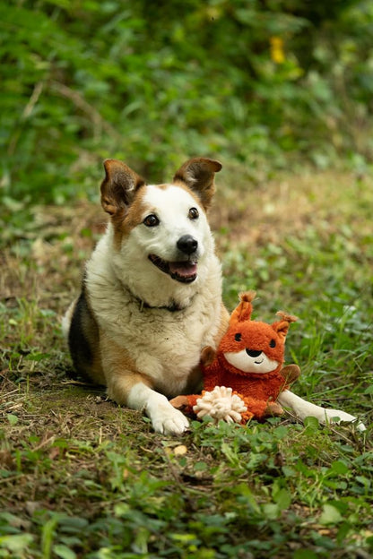 PETFACE WOODLAND SAFFIA SQUIRREL CRINKLE DOG TOY