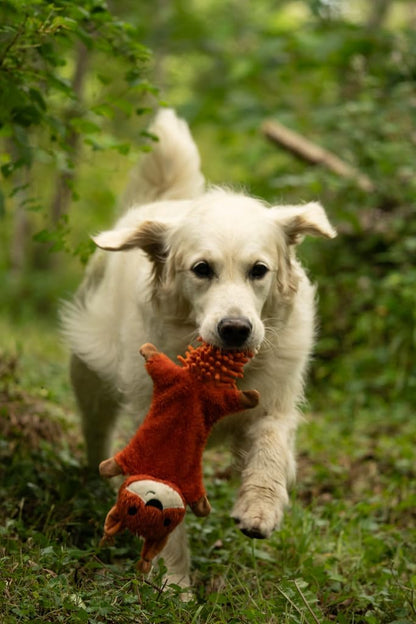 PETFACE WOODLAND SAFFIA SQUIRREL CRINKLE DOG TOY