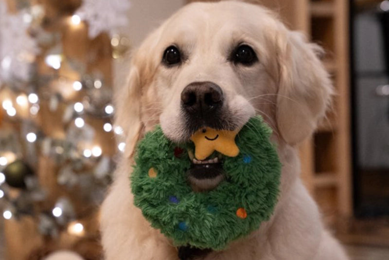 REMY WREATH PLUSH &RUBBER DOG TOY (SIZE: M)