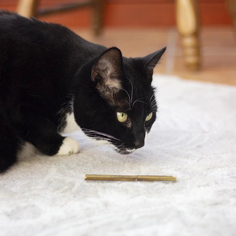 ROSEWOOD CAT NATURALS CATNIP STICKS