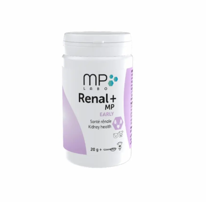 Renal+MP Early 40