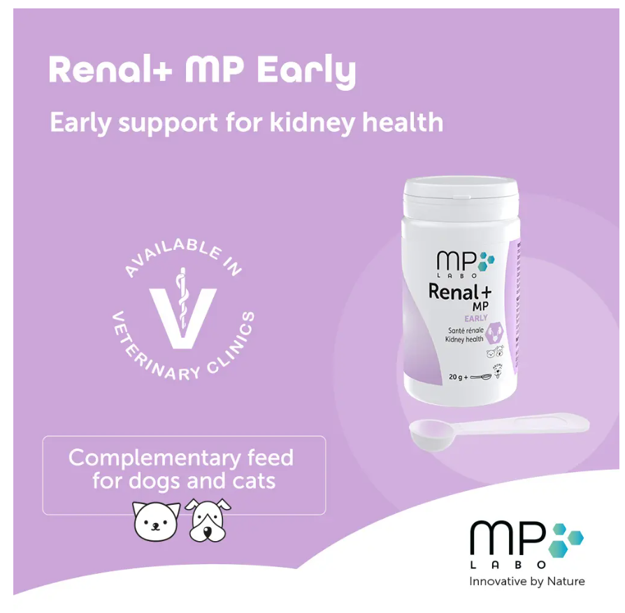 Renal+MP Early 40