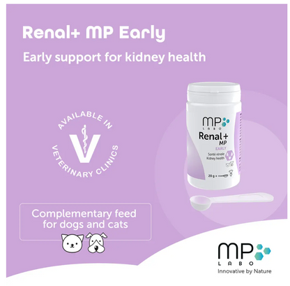 Renal+MP Early 40