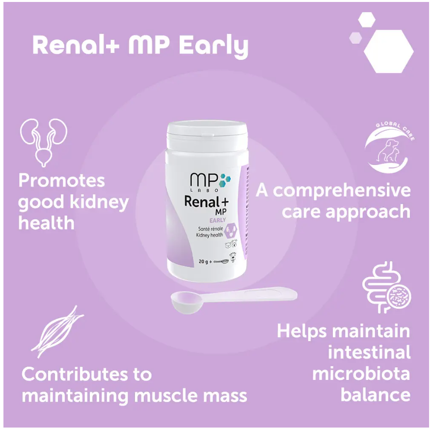 Renal+MP Early 40