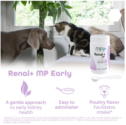 Renal+MP Early 40