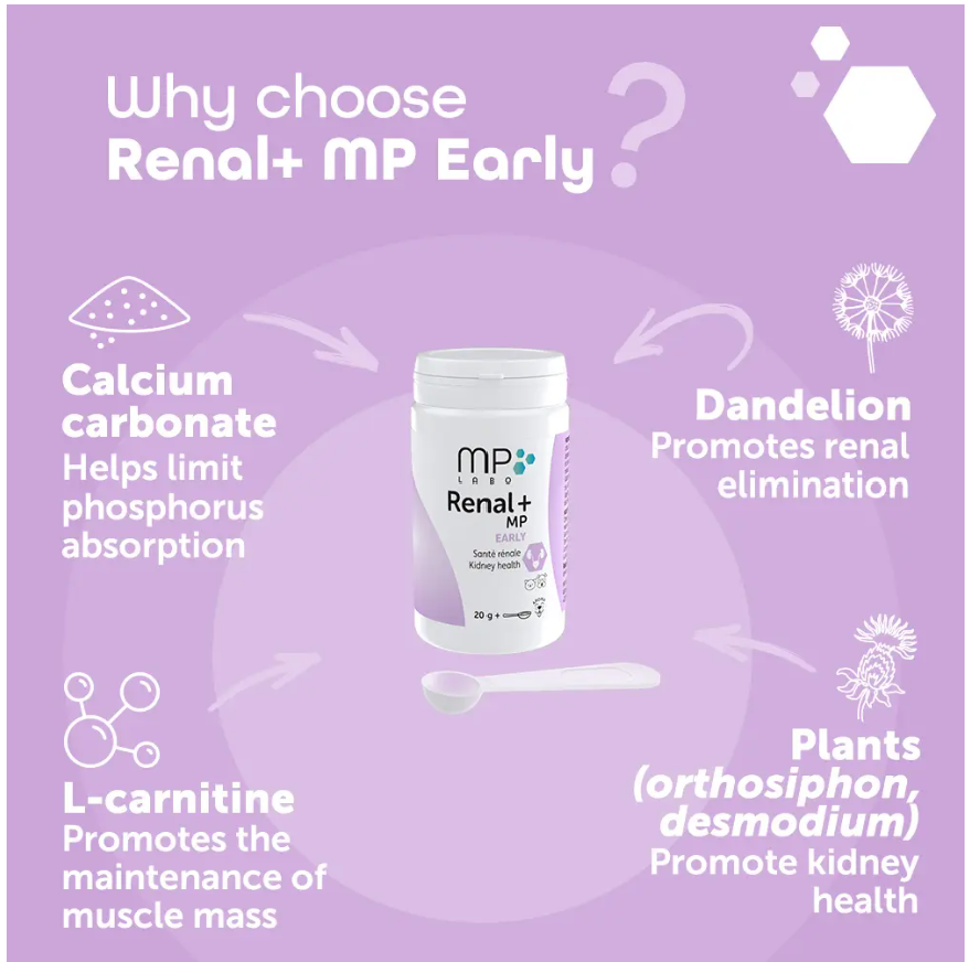 Renal+MP Early 40
