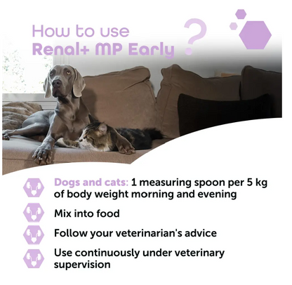 Renal+MP Early 40