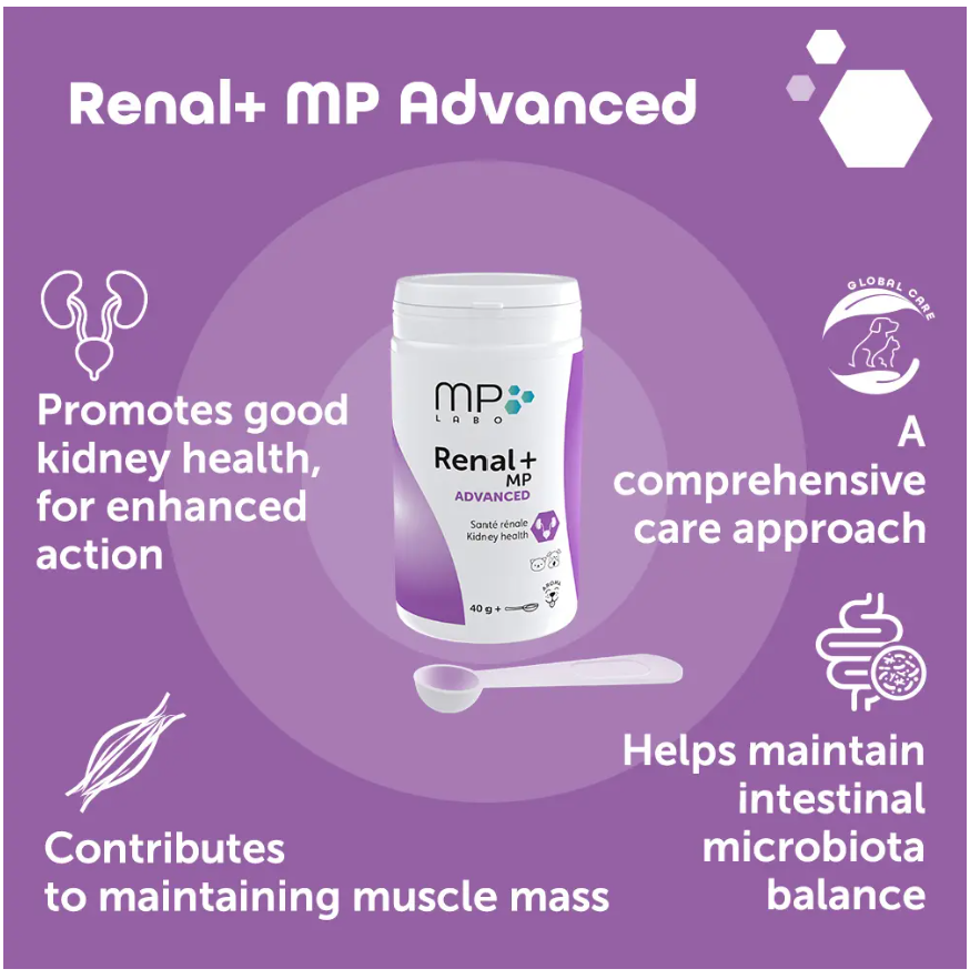 Renal+MP Advanced 40