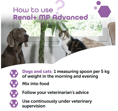 Renal+MP Advanced 40