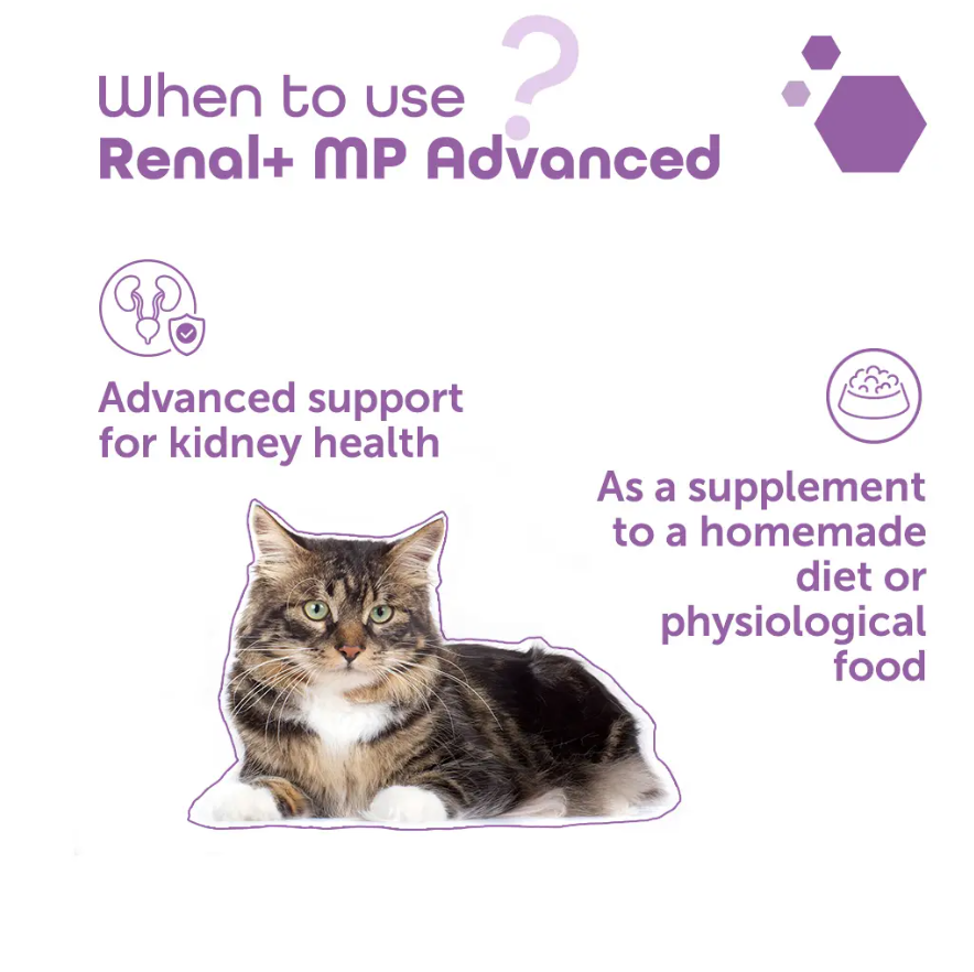 Renal+MP Advanced 40