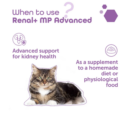 Renal+MP Advanced 40