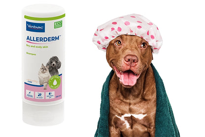ALLERMYL SHAMPOO DRY & SCALY SKIN  FOR DOGS & CATS 250ml