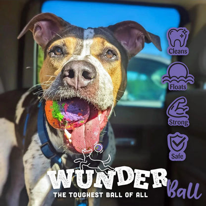 WUNDERBALL DOG TOY
