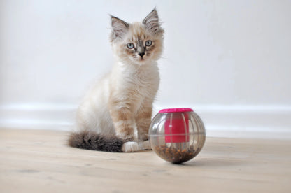 BUSTER CATRINE CATMOSPHERE TREAT CAT TOY