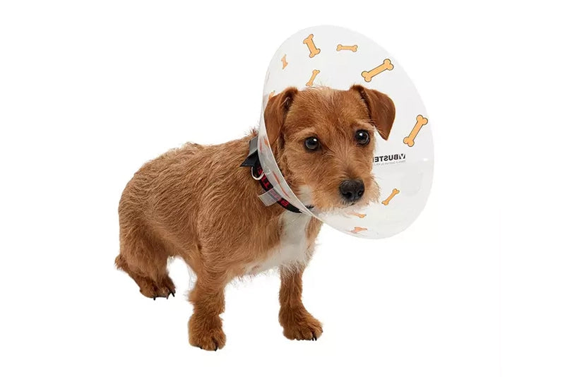 BUSTER RECOVERY COLLAR WITH COLOUR BONES