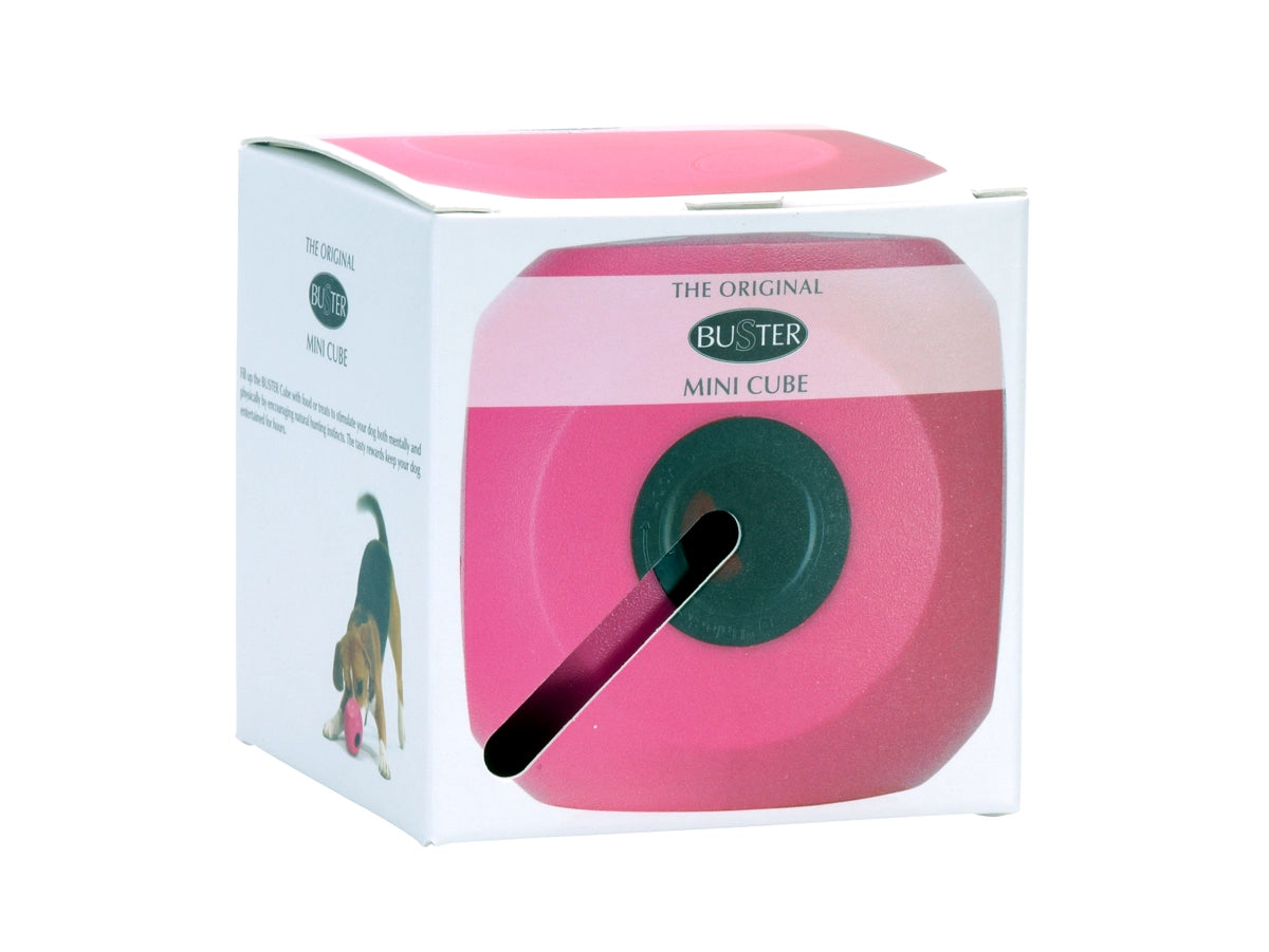BUSTER FOOD CUBE DOG TREAT TOY