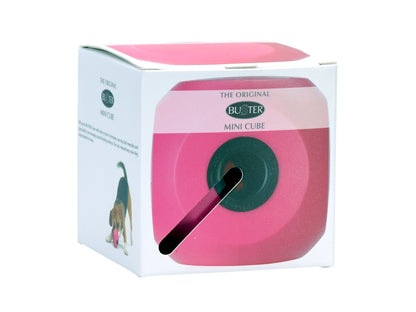 BUSTER FOOD CUBE DOG TREAT TOY