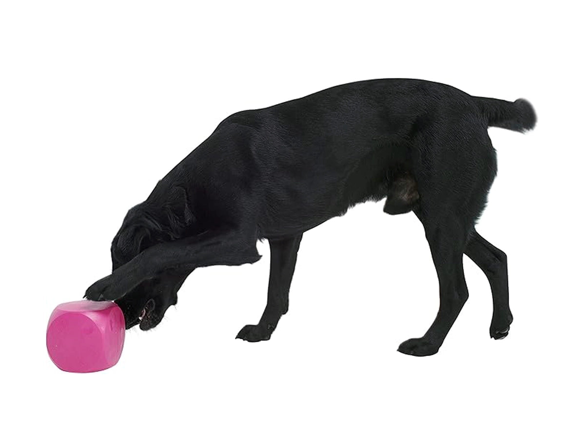 BUSTER FOOD CUBE DOG TREAT TOY