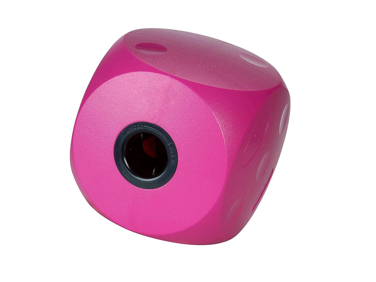 BUSTER FOOD CUBE DOG TREAT TOY