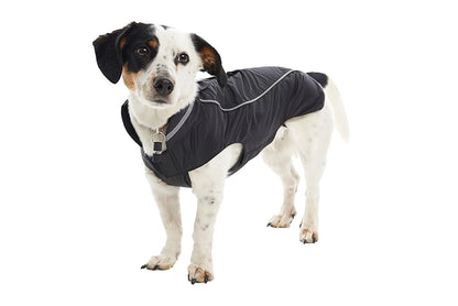 BUSTER BLACKBERRY RAINCOAT